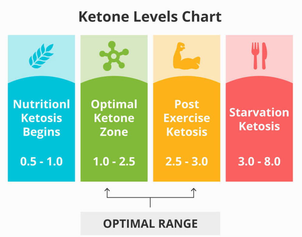 ketone level chart