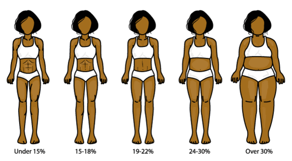 body fat women